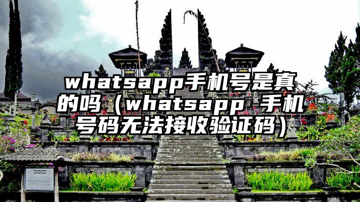 whatsapp手机号是真的吗（whatsapp 手机号码无法接收验证码）