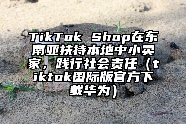 TikTok Shop在东南亚扶持本地中小卖家，践行社会责任（tiktok国际版官方下载华为）