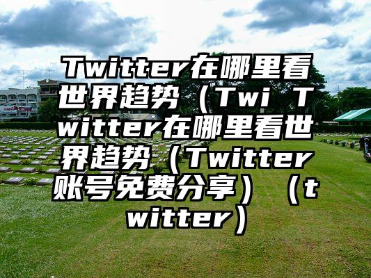 Twitter在哪里看世界趋势（Twi Twitter在哪里看世界趋势（Twitter账号免费分享）（twitter）