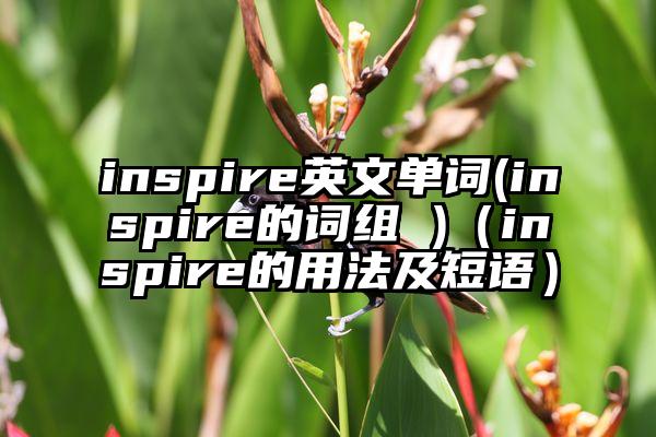 inspire英文单词(inspire的词组 )（inspire的用法及短语）