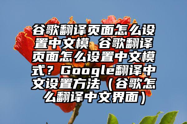 谷歌翻译页面怎么设置中文模 谷歌翻译页面怎么设置中文模式？Google翻译中文设置方法（谷歌怎么翻译中文界面）