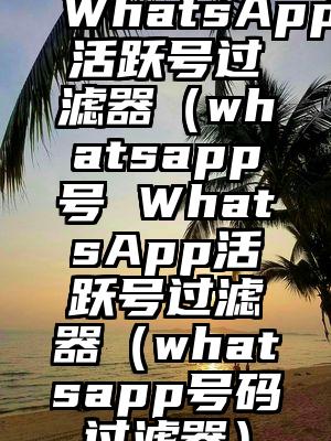 WhatsApp活跃号过滤器（whatsapp号 WhatsApp活跃号过滤器（whatsapp号码过滤器）