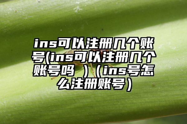 ins可以注册几个账号(ins可以注册几个账号吗 )（ins号怎么注册账号）