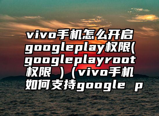 vivo手机怎么开启googleplay权限(googleplayroot权限 )（vivo手机如何支持google p