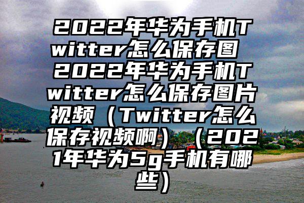 2022年华为手机Twitter怎么保存图 2022年华为手机Twitter怎么保存图片视频（Twitter怎么保存视频啊）（2021年华为5g手机有哪些）