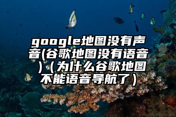 google地图没有声音(谷歌地图没有语音 )（为什么谷歌地图不能语音导航了）