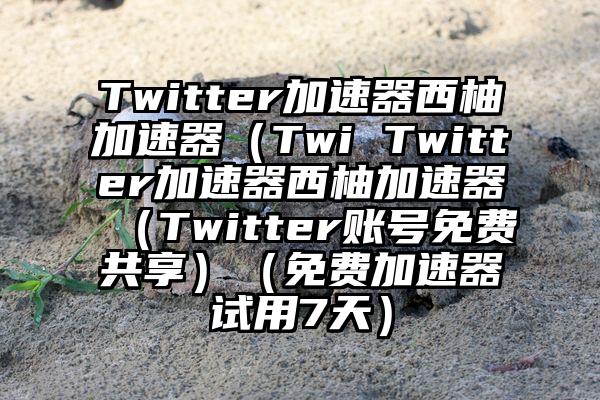 Twitter加速器西柚加速器（Twi Twitter加速器西柚加速器（Twitter账号免费共享）（免费加速器试用7天）