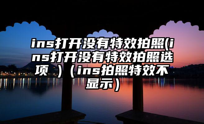 ins打开没有特效拍照(ins打开没有特效拍照选项 )（ins拍照特效不显示）