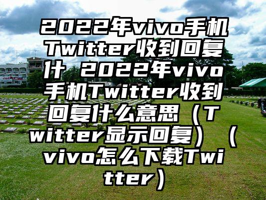 2022年vivo手机Twitter收到回复什 2022年vivo手机Twitter收到回复什么意思（Twitter显示回复）（vivo怎么下载Twitter）