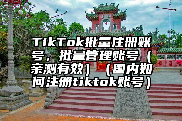 TikTok批量注册账号，批量管理账号（亲测有效）（国内如何注册tiktok账号）