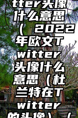 2022年欧文Twitter头像什么意思（ 2022年欧文Twitter头像什么意思（杜兰特在Twitter的头像）（欧文微信头像帅气）