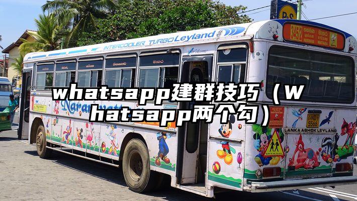 whatsapp建群技巧（Whatsapp两个勾）