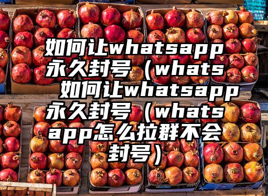 如何让whatsapp永久封号（whats 如何让whatsapp永久封号（whatsapp怎么拉群不会封号）