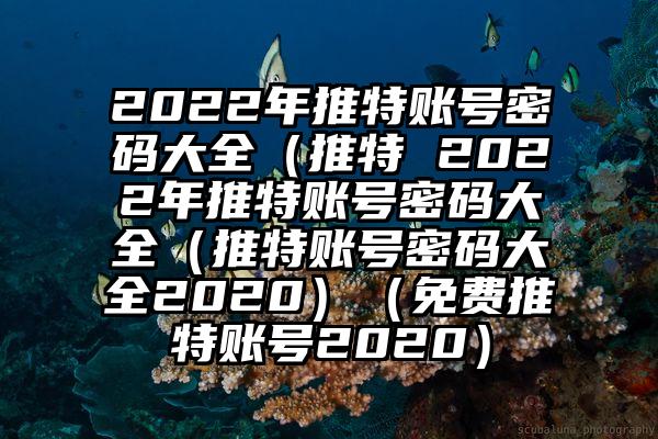 2022年推特账号密码大全（推特 2022年推特账号密码大全（推特账号密码大全2020）（免费推特账号2020）