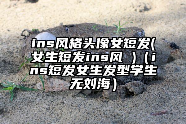 ins风格头像女短发(女生短发ins风 )（ins短发女生发型学生无刘海）