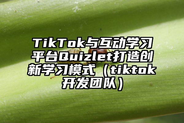 TikTok与互动学习平台Quizlet打造创新学习模式（tiktok开发团队）