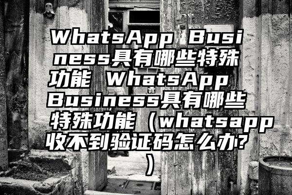 WhatsApp Business具有哪些特殊功能 WhatsApp Business具有哪些特殊功能（whatsapp收不到验证码怎么办?）