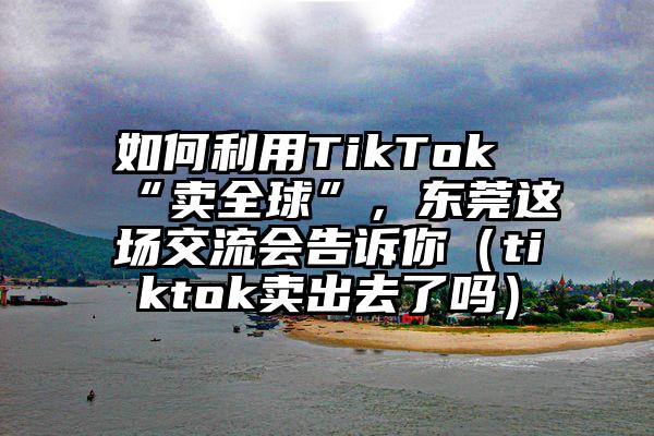 如何利用TikTok“卖全球”，东莞这场交流会告诉你（tiktok卖出去了吗）