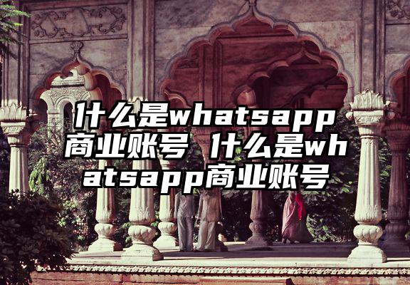 什么是whatsapp商业账号 什么是whatsapp商业账号