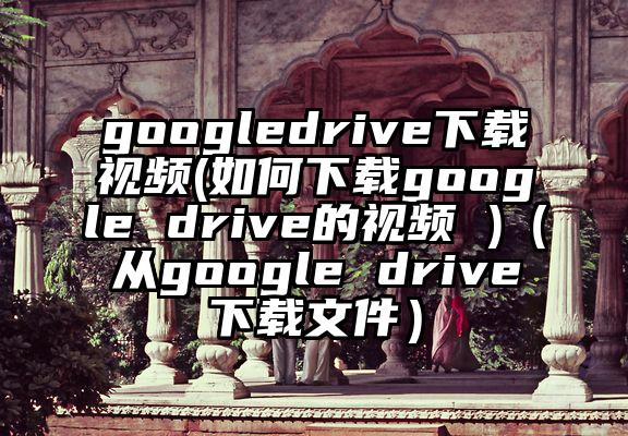 googledrive下载视频(如何下载google drive的视频 )（从google drive下载文件）