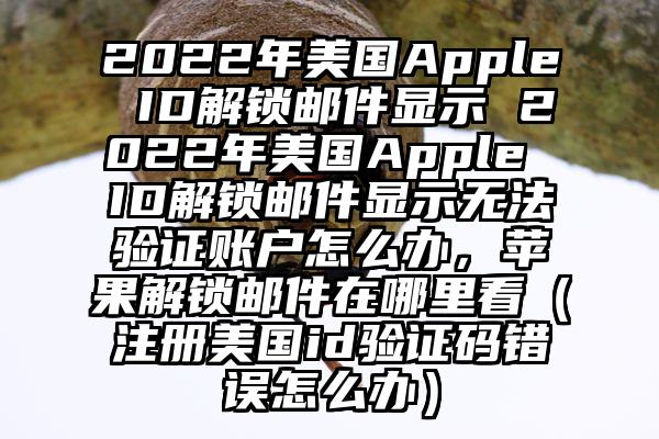 2022年美国Apple ID解锁邮件显示 2022年美国Apple ID解锁邮件显示无法验证账户怎么办，苹果解锁邮件在哪里看（注册美国id验证码错误怎么办）