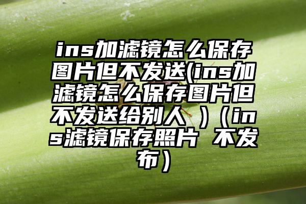 ins加滤镜怎么保存图片但不发送(ins加滤镜怎么保存图片但不发送给别人 )（ins滤镜保存照片 不发布）