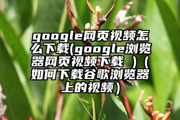 google网页视频怎么下载(google浏览器网页视频下载 )（如何下载谷歌浏览器上的视频）