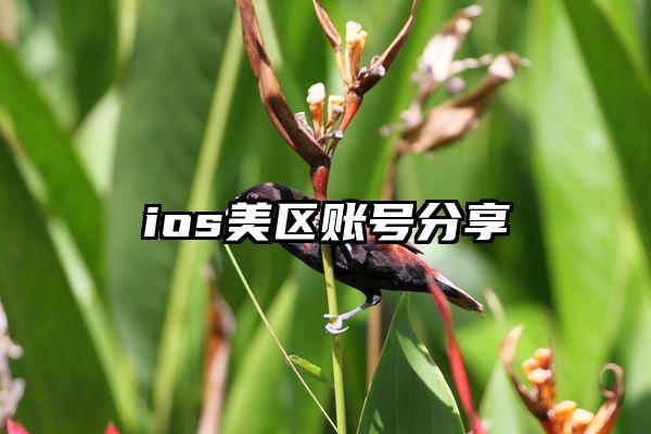 ios美区账号分享