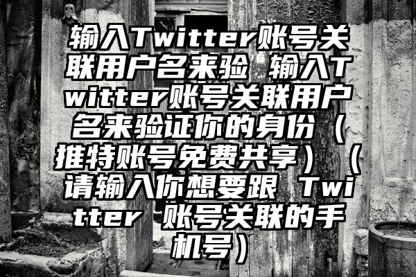 输入Twitter账号关联用户名来验 输入Twitter账号关联用户名来验证你的身份（推特账号免费共享）（请输入你想要跟 Twitter 账号关联的手机号）