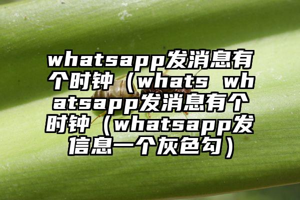 whatsapp发消息有个时钟（whats whatsapp发消息有个时钟（whatsapp发信息一个灰色勾）