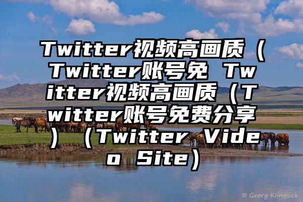 Twitter视频高画质（Twitter账号免 Twitter视频高画质（Twitter账号免费分享）（Twitter Video Site）