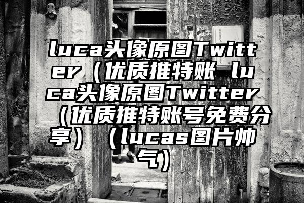 luca头像原图Twitter（优质推特账 luca头像原图Twitter（优质推特账号免费分享）（lucas图片帅气）