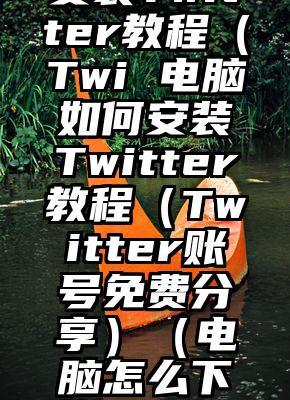 电脑如何安装Twitter教程（Twi 电脑如何安装Twitter教程（Twitter账号免费分享）（电脑怎么下载twitter）