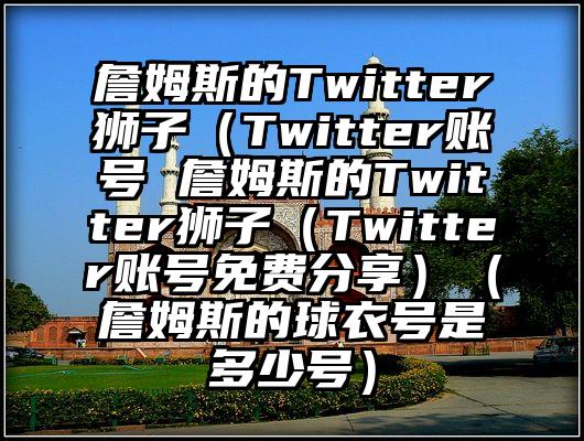 詹姆斯的Twitter狮子（Twitter账号 詹姆斯的Twitter狮子（Twitter账号免费分享）（詹姆斯的球衣号是多少号）