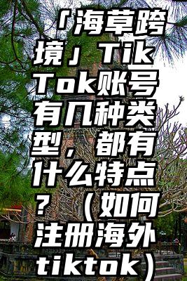 「海草跨境」TikTok账号有几种类型，都有什么特点？（如何注册海外tiktok）