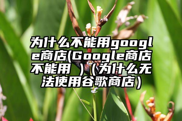 为什么不能用google商店(Google商店不能用 )（为什么无法使用谷歌商店）