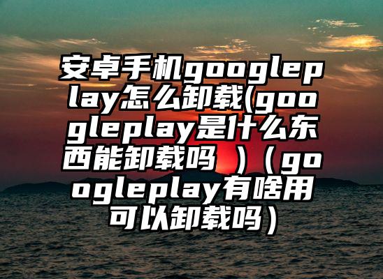 安卓手机googleplay怎么卸载(googleplay是什么东西能卸载吗 )（googleplay有啥用可以卸载吗）