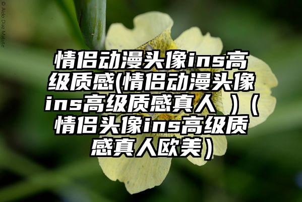 情侣动漫头像ins高级质感(情侣动漫头像ins高级质感真人 )（情侣头像ins高级质感真人欧美）