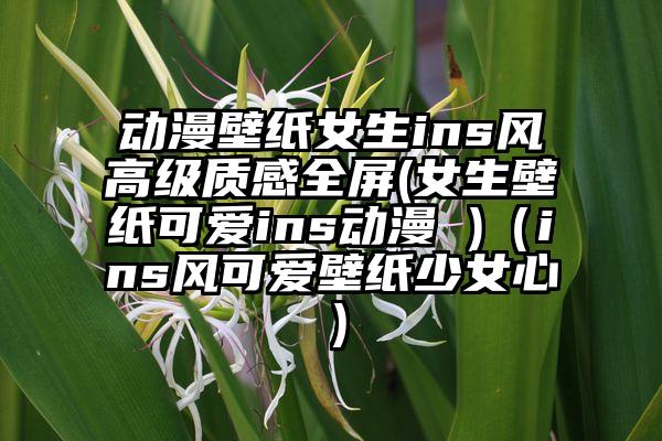 动漫壁纸女生ins风高级质感全屏(女生壁纸可爱ins动漫 )（ins风可爱壁纸少女心）