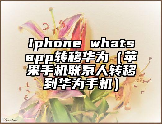 iphone whatsapp转移华为（苹果手机联系人转移到华为手机）