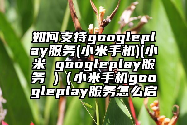 如何支持googleplay服务(小米手机)(小米 googleplay服务 )（小米手机googleplay服务怎么启