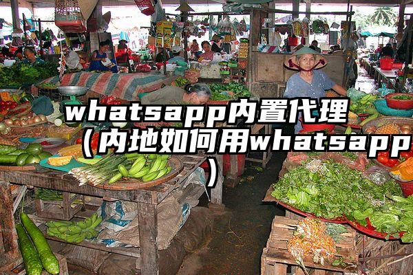 whatsapp内置代理（内地如何用whatsapp）