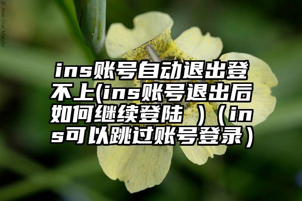 ins账号自动退出登不上(ins账号退出后如何继续登陆 )（ins可以跳过账号登录）