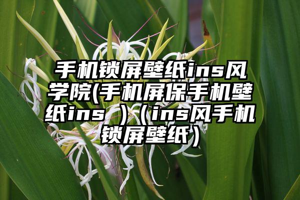 手机锁屏壁纸ins风学院(手机屏保手机壁纸ins )（ins风手机锁屏壁纸）