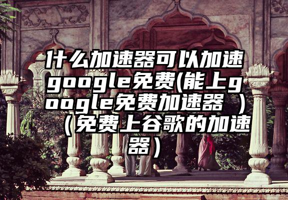 什么加速器可以加速google免费(能上google免费加速器 )（免费上谷歌的加速器）