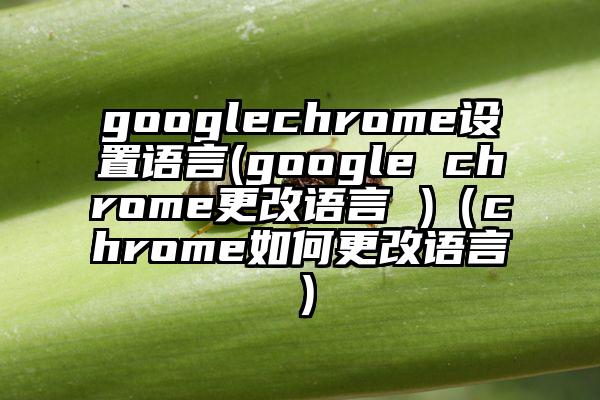 googlechrome设置语言(google chrome更改语言 )（chrome如何更改语言）