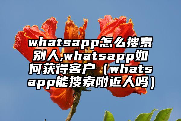 whatsapp怎么搜索别人,whatsapp如何获得客户（whatsapp能搜索附近人吗）