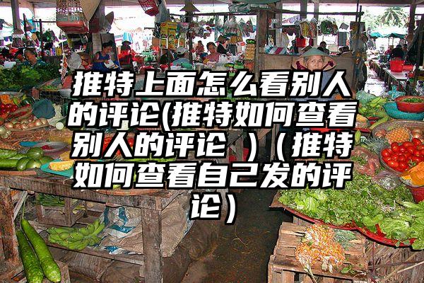 推特上面怎么看别人的评论(推特如何查看别人的评论 )（推特如何查看自己发的评论）