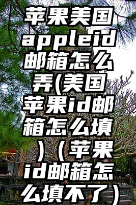 苹果美国appleid邮箱怎么弄(美国苹果id邮箱怎么填 )（苹果id邮箱怎么填不了）