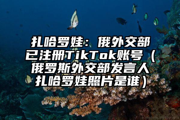 扎哈罗娃：俄外交部已注册TikTok账号（俄罗斯外交部发言人扎哈罗娃照片是谁）